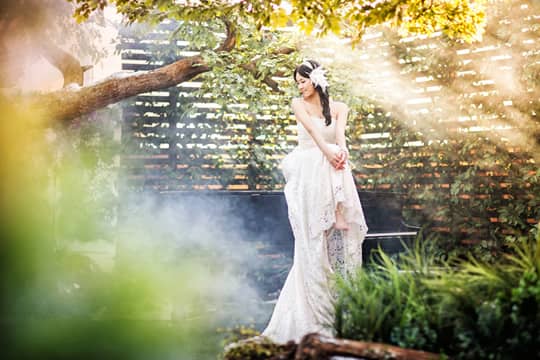 Mr. K Korea Wedding開業 賞你神秘大禮