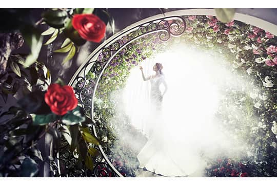 Mr. K Korea Wedding開業 賞你神秘大禮