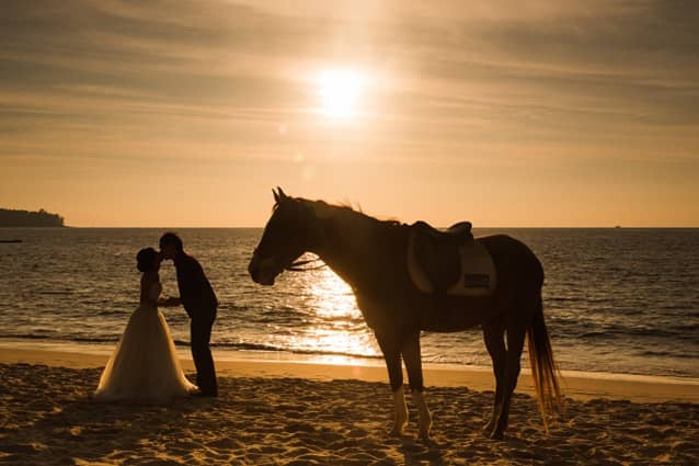 Sara & Dominic - 扭轉被拆散的愛情命運