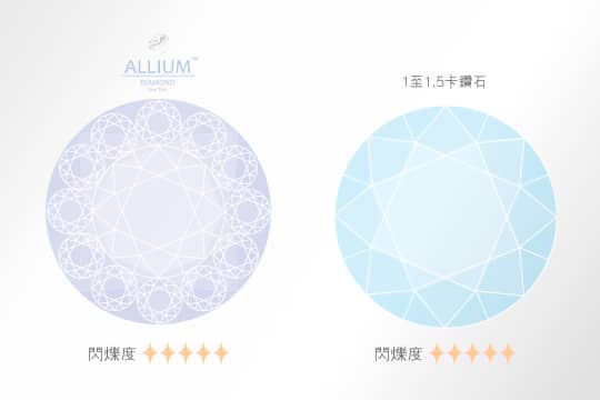 寓意永恆之美-ALLIUM花語的故事