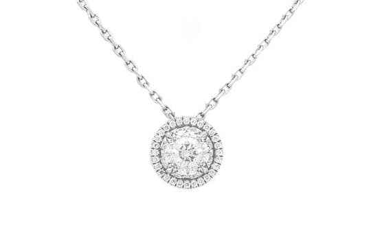 寓意永恆之美-ALLIUM花語的故事