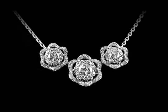 寓意永恆之美-ALLIUM花語的故事