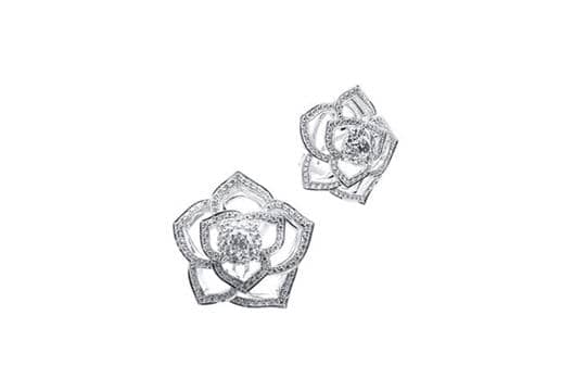 寓意永恆之美-ALLIUM花語的故事