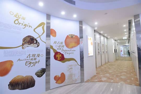 想男友求婚？去呢度就得！