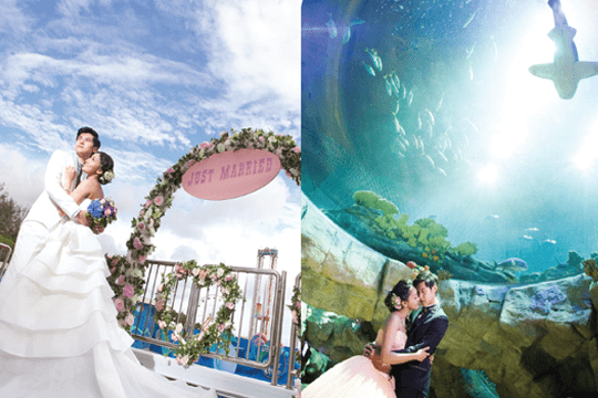 盤點2016優質婚宴酒樓及特色場地(下)