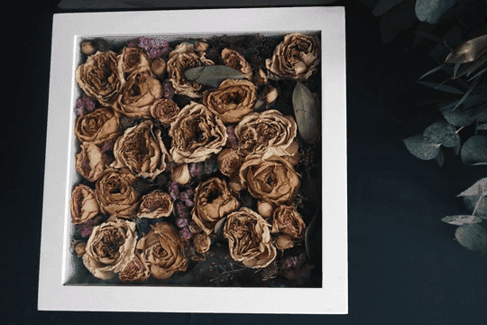 情人節花束 變身5款乾花手作