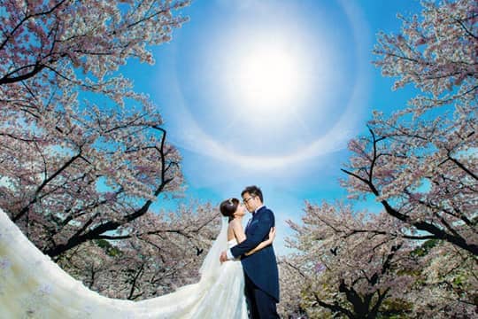 2017優質婚照攝錄巡禮