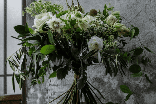 來自法國的浪漫！令女人心動的庭園玫瑰