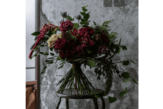 來自法國的浪漫！令女人心動的庭園玫瑰