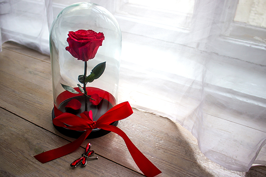 求婚除了送玫瑰 這3種禮物也感動滿分！