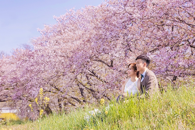 在日本捕捉永恆的愛：Hollie和Kevin的婚紗攝影之旅