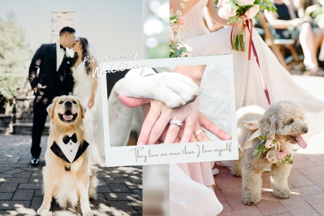 2025香港寵物友善婚禮場地推薦｜Pet-Friendly戶外證婚及婚宴場地精選｜為毛孩盛裝出席婚禮的5大注意事項
