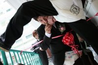 《洞(釋)天椒之子子孫孫》