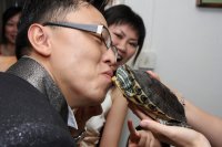 龜咪相投