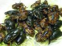 我仲叻過李小龍