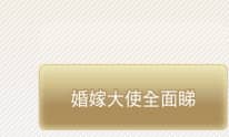 婚嫁大使全面睇