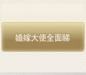 婚嫁大使全面睇