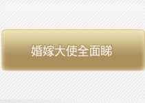 婚嫁大使全面睇