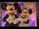 迪士尼世界級娛樂節目  成就完美童話婚禮